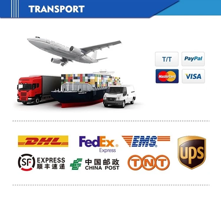 Transport from Ali-1
